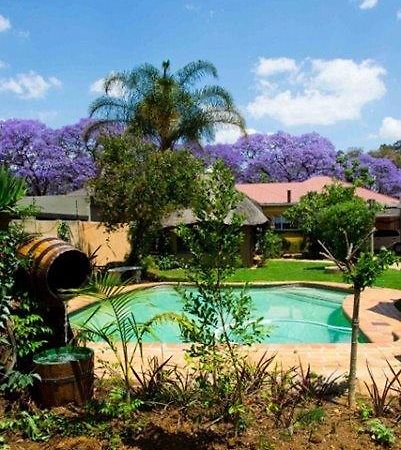 1322 Backpackers International Pretoria Exterior foto
